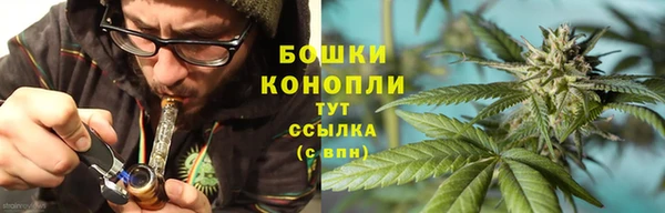 ГАЛЛЮЦИНОГЕННЫЕ ГРИБЫ Красноперекопск