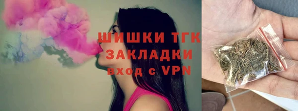 PSILOCYBIN Карталы
