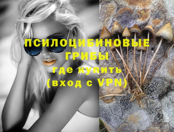 PSILOCYBIN Карталы