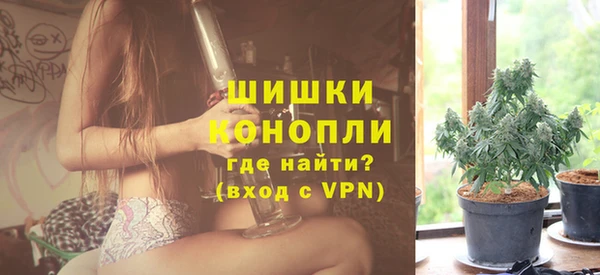 PSILOCYBIN Карталы