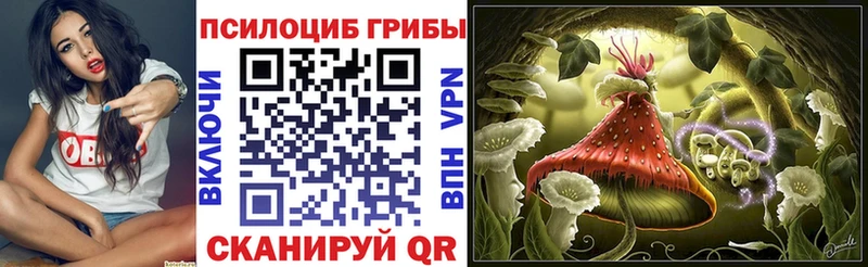 Купить закладки  Гремячинск  Галлюциногенные грибы GOLDEN TEACHER 